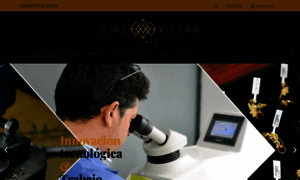 Diazyvillarjoyeros.com thumbnail