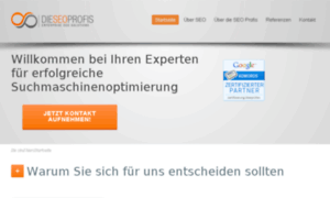 Die-seo-profis.de thumbnail