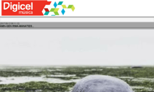 Digicelmusica.com thumbnail