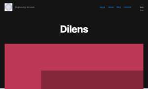 Dilens.com thumbnail