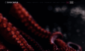 Discefa.com thumbnail