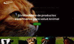 Distrivet.cl thumbnail