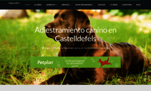 Dogcarebcn.com thumbnail