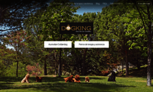 Dogking.es thumbnail