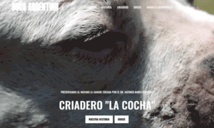Dogolacocha.com thumbnail