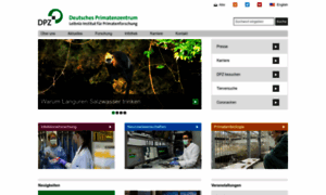 Dpz.eu thumbnail