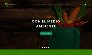 Dragonmexico.com thumbnail