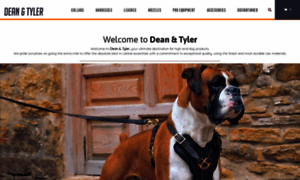 Dtdogcollars.com thumbnail
