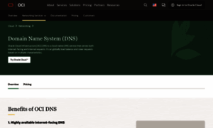 Dyndns.ws thumbnail