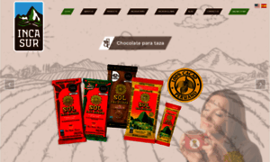 E-incasur.com thumbnail