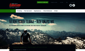 Easyway.dk thumbnail