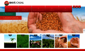 Ebayacasal.com.ar thumbnail