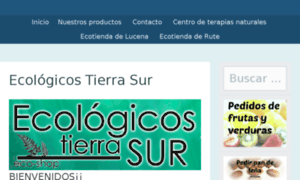 Ecologicostierrasur.com thumbnail