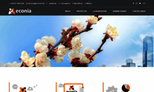 Econia.net thumbnail