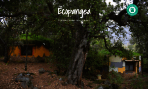 Ecopangea.com thumbnail