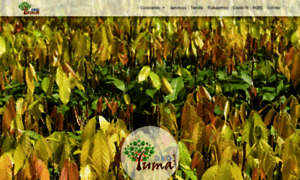 Ecoyuma.com.co thumbnail