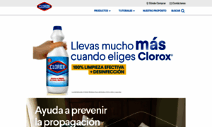 Ecuador.clorox.com thumbnail