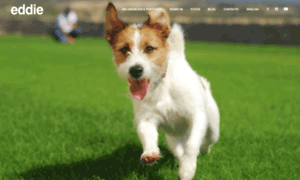 Eddiejackrussell.com thumbnail