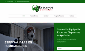 Efectivos.com.mx thumbnail