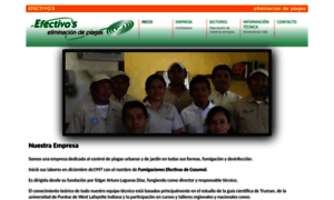 Efectivos.mx thumbnail