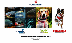 El-pedregal.com thumbnail