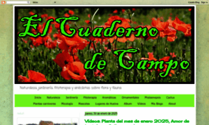 Elcuadernodecampojl.blogspot.com.es thumbnail