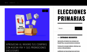 Eleccionesprimarias.cl thumbnail