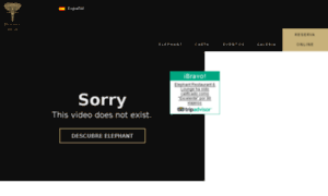 Elephantbcn.com thumbnail