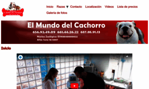 Elmundodelcachorro.com thumbnail