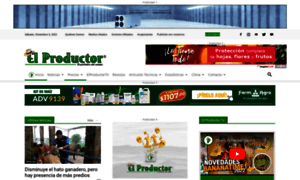 Elproductor.com thumbnail