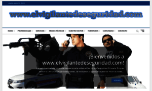 Elvigilantedeseguridad.com thumbnail