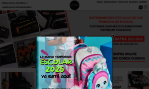 Emesmarroquineria.com thumbnail