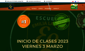 Emilialascar.cl thumbnail