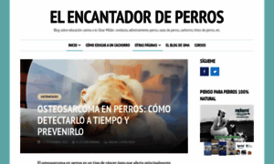 Encantadordeperros.es thumbnail