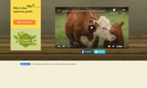 Encontradelmaltratoanimal.com thumbnail