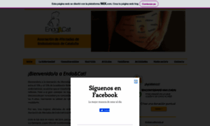 Endometriosiscatalunya.com thumbnail
