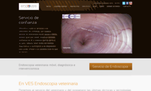Endoscopiaveterinaria.es thumbnail