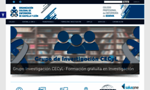 Enfermeriasegovia.com thumbnail