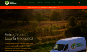 Envasesysuministros.mx thumbnail