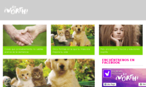 Es-worth.com thumbnail