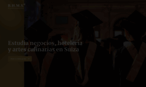 Es.bhms.ch thumbnail