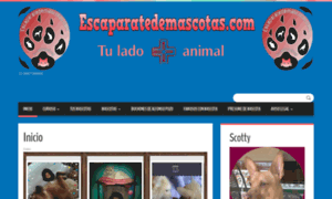 Escaparatedemascotas.com thumbnail