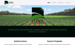 Escotell.com.mx thumbnail