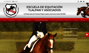 Escuelaequitaciontlalpan.com thumbnail