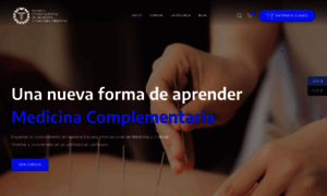 Escuelainternacional.cl thumbnail