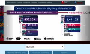 Estadisticas.salta.gov.ar thumbnail