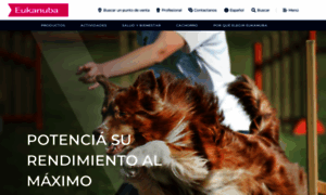 Eukanuba.com.ar thumbnail