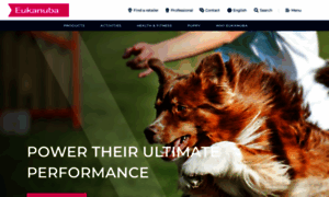Eukanuba.com.mx thumbnail