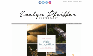 Evelynpfeiffer.com thumbnail