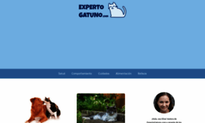 Expertogatuno.com thumbnail